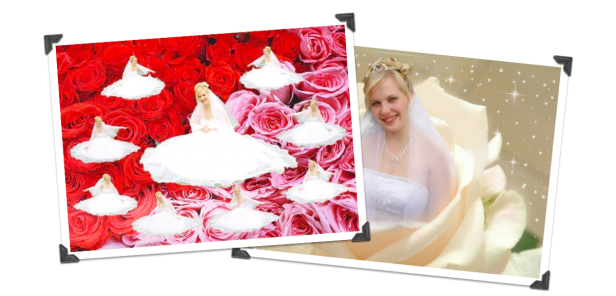 Eine Collage zeigt eine Braut vor einem Hintergrund aus Rosen und in einer einzelnen Rose.