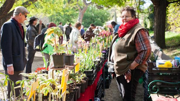 Raritätenmesse im Botanischen Garten