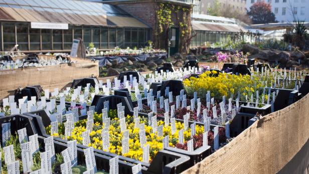 Raritätenmesse im Botanischen Garten