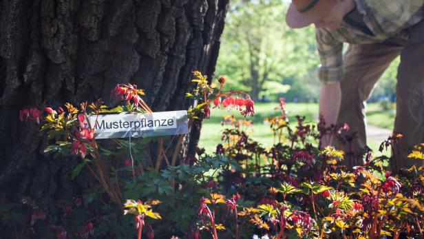 Raritätenmesse im Botanischen Garten