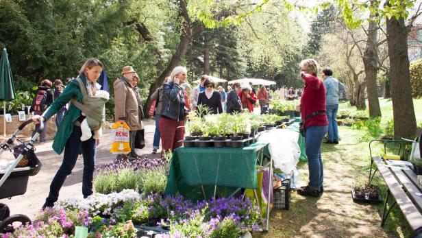 Raritätenmesse im Botanischen Garten