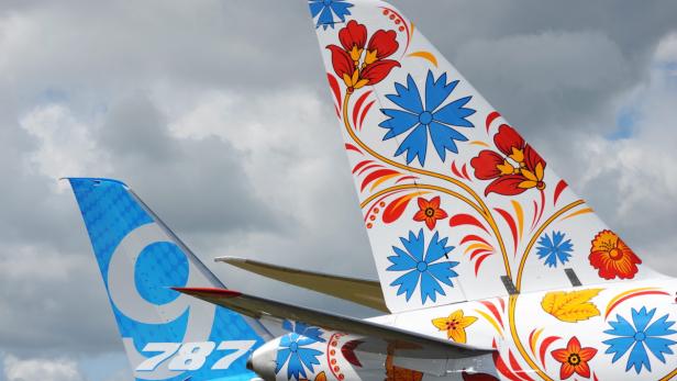 Die Heckflossen zweier Flugzeuge sind mit Blumenmustern verziert.