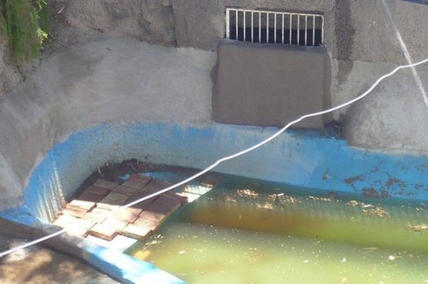 Ein Becken mit trübem Wasser und einem provisorischen Steg aus Ziegelsteinen.