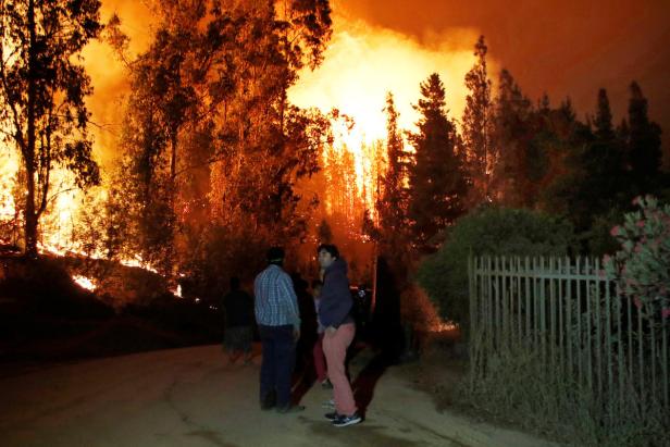 Brände verwüsteten rund 90.000 Hektar in Chile