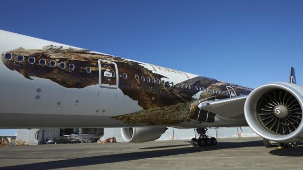 Deutsche Spieler bekamen eigenen Flugzeuglack