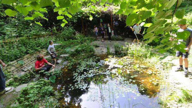 Eine Gruppe von Kindern steht an einem Teich mit Seerosen und hält Keschernetze.