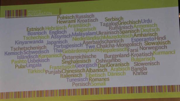 Eine Wortwolke mit verschiedenen Sprachen zum Thema „Wirtschaft für Integration“.