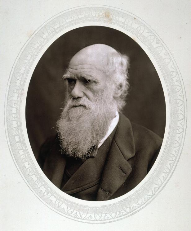 Was Darwin wirklich erforschte