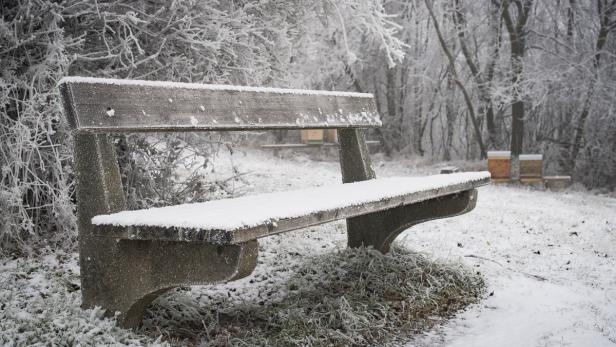 Winterwetter in Wien