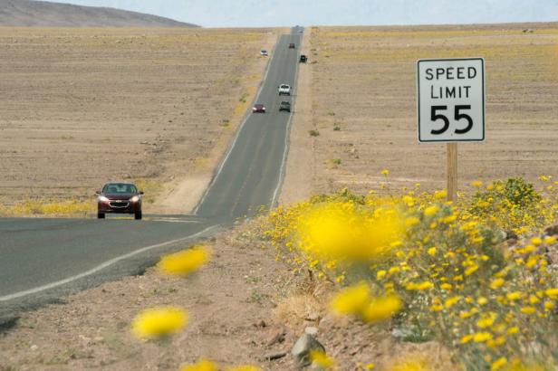 Eine lange, gerade Straße durch eine Wüstenlandschaft mit gelben Blumen und einem Geschwindigkeitsbegrenzungsschild.