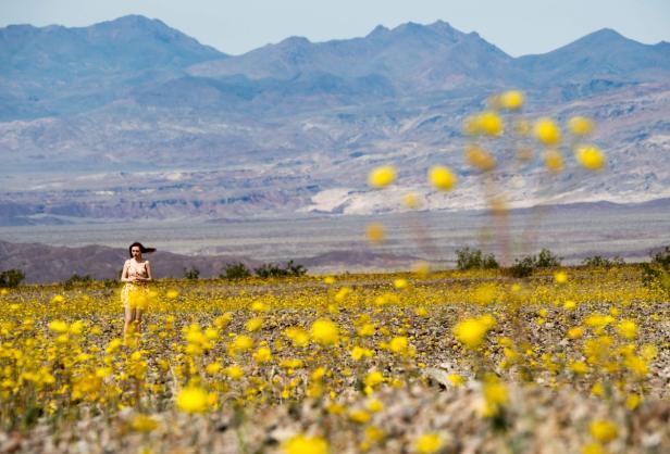 Eine Frau steht in einem Feld mit gelben Blumen vor einer Bergkulisse.
