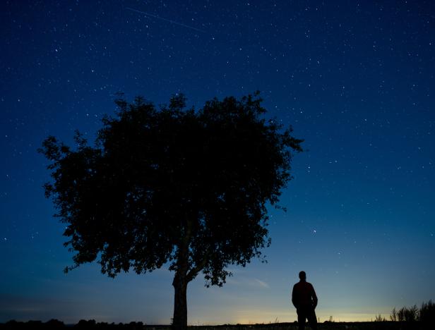 Eine Person steht nachts unter einem Baum und blickt in den Sternenhimmel.