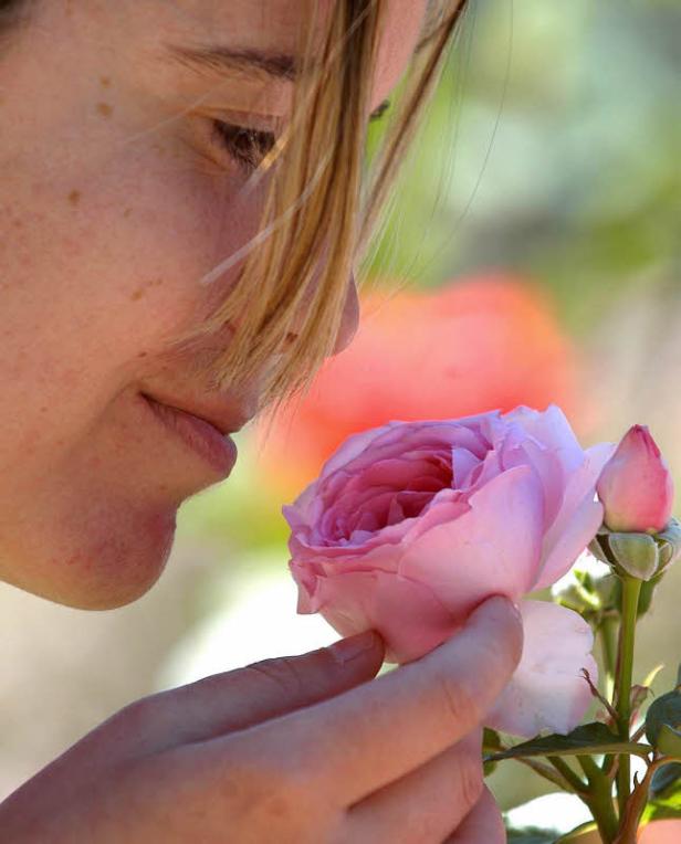 Eine Frau riecht an einer zartrosa Rose.