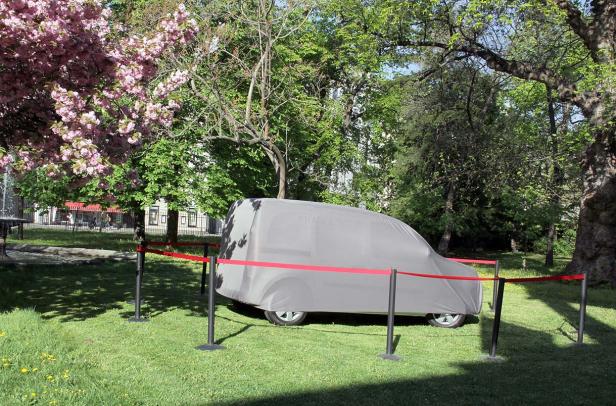 Ein mit einer Plane abgedecktes Auto steht auf einer Wiese in einem Park.