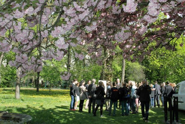 Eine Gruppe von Menschen steht unter einem blühenden Kirschbaum in einem Park.