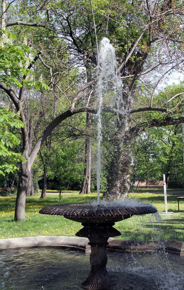 Ein Springbrunnen sprüht Wasser in einem Park.