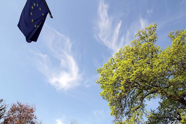 Die Europaflagge weht vor einem Himmel mit leichten Wolken und Bäumen.
