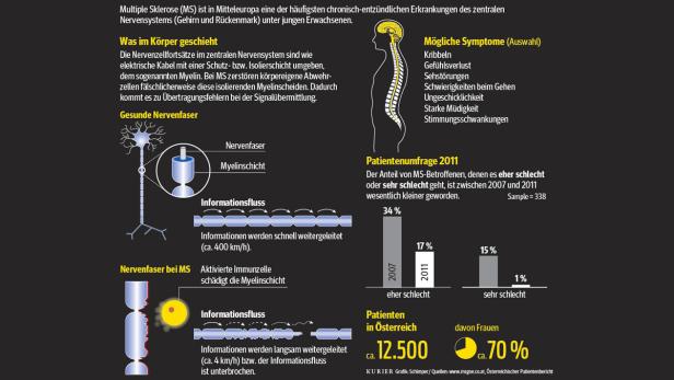 Multiple Sklerose „in Schach halten“