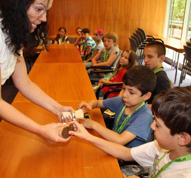 Kinder nehmen an einem Workshop zum Thema Pflanzen teil.