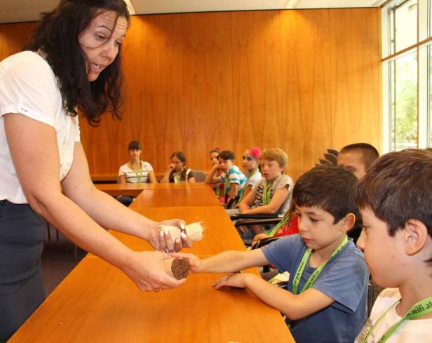 Eine Frau zeigt einer Gruppe von Kindern, wie man mit einer Bürste etwas bestäubt.