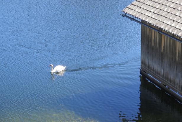 Neues Luxus-Resort in Altaussee