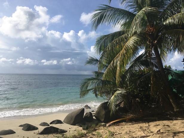 Martinique: Die geniale Badewanne Frankreichs