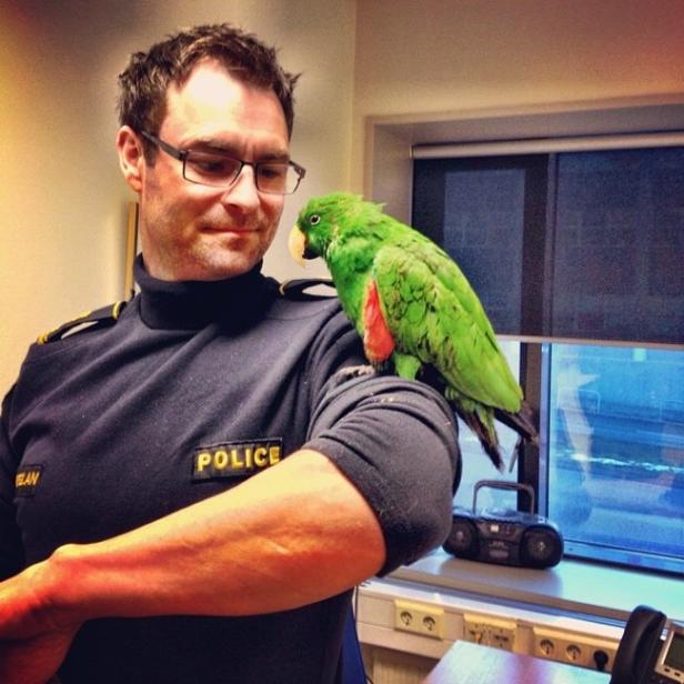 Ein Polizist mit Brille hat einen grünen Papagei auf dem Arm sitzen.