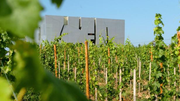 Ein Weinberg mit einem modernen, silberfarbenen Gebäude im Hintergrund.