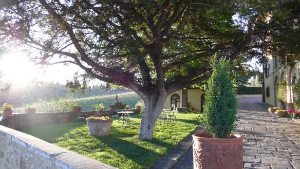 Ein Garten mit einem großen Baum und Tischen auf dem Rasen.