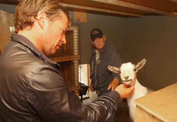 Tierpark mit drei Ziegen, fünf Hasen und zwei Hühnern bei Vater Piet (74). Frühstück mit Frenkie Schinkels