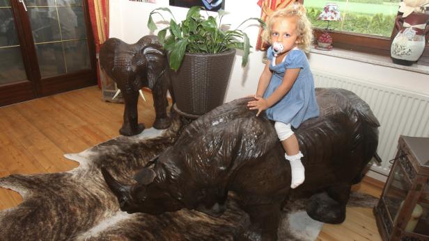 Enkeltochter Samira (2) und das Holz-Nashorn. Frühstück mit Frenkie Schinkels