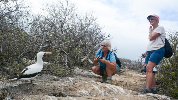 Galapagos: Reise in Darwins-Paradies