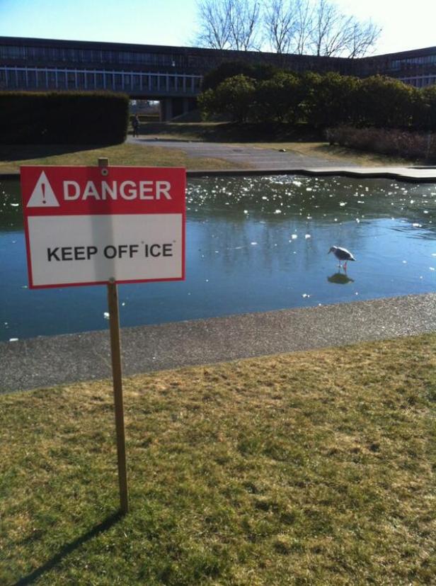 Ein Schild warnt vor dem Betreten der Eisfläche, während eine Möwe darauf steht.