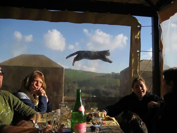 Eine Katze springt im Hintergrund über eine Landschaft, während Menschen an einem Tisch sitzen.