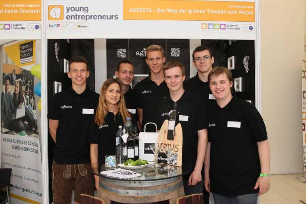 Jugend Innovativ, Kategorie Young Entrepreneurs