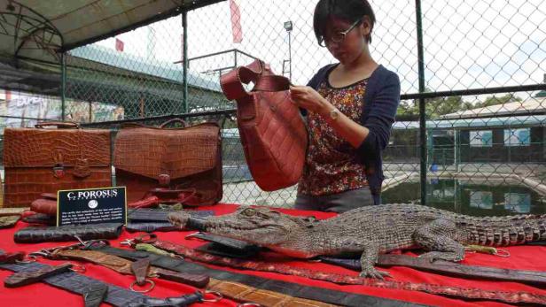 Eine Frau betrachtet eine braune Ledertasche auf einem Tisch mit Krokodillederprodukten und einem Krokodil.