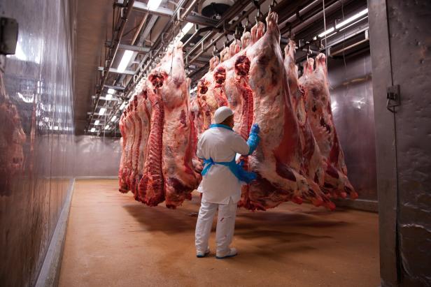 Schlachthof verkauft seltene Fleischstücke im Web