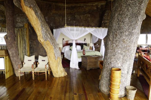 Ein Schlafzimmer mit einem Himmelbett ist um einen Baumstamm herum gebaut.