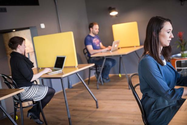 Drei Personen arbeiten an Laptops in einem Büro mit gelben Trennwänden.