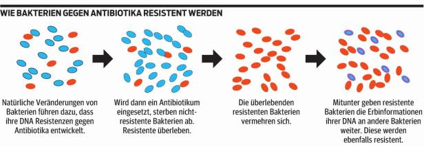 … Eine schematische Darstellung, wie Bakterien Resistenzen gegen Antibiotika entwickeln.
