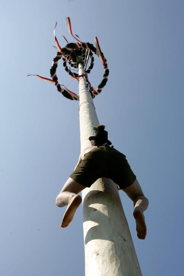 Ein Mann in Tracht klettert barfuß auf einen Maibaum.