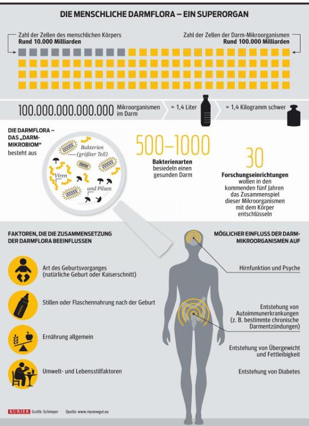 Ökosystem Darm beeinflusst die Psyche