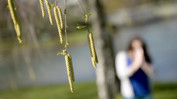 Neue Methode entfernt Auslöser für allergisches Asthma