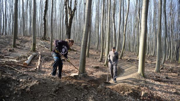 Freiwillige bauen Mountainbike-Trails im Wienerwald