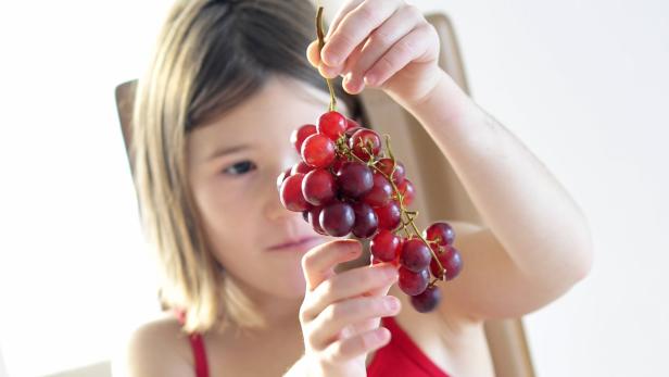 Ein Mädchen betrachtet eine Traube roter Weintrauben.