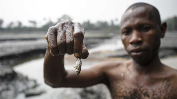 Ein Mann hält einen kleinen Fisch in der Hand.