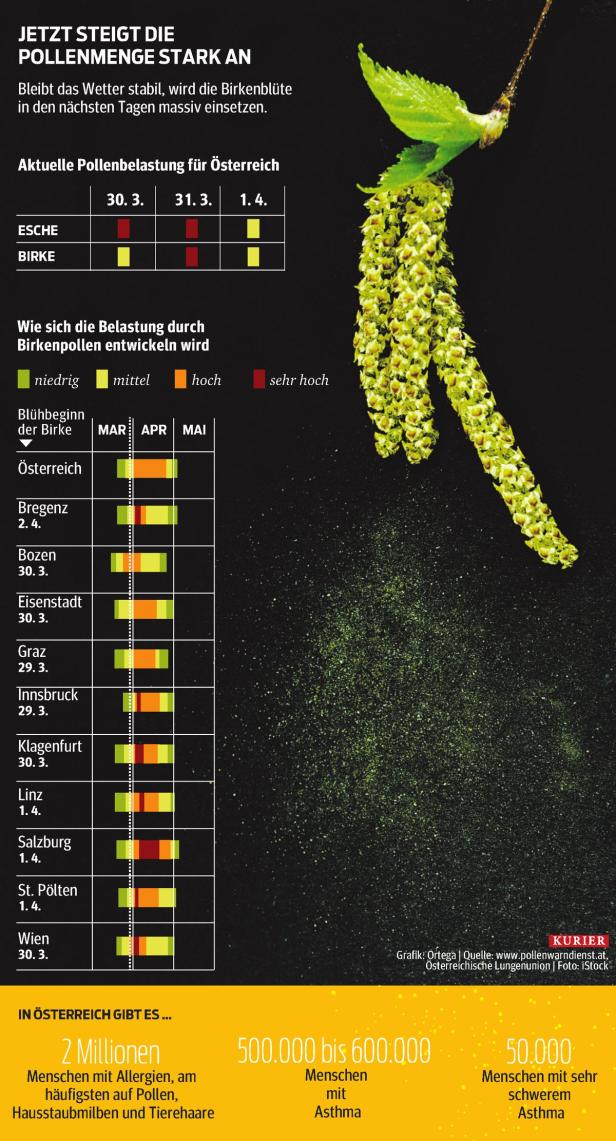 Pollenbelastung: Jetzt wird sie intensiv