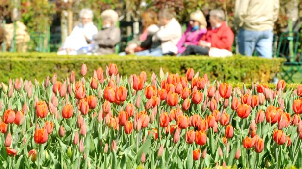 April bringt Vorgeschmack auf den Sommer