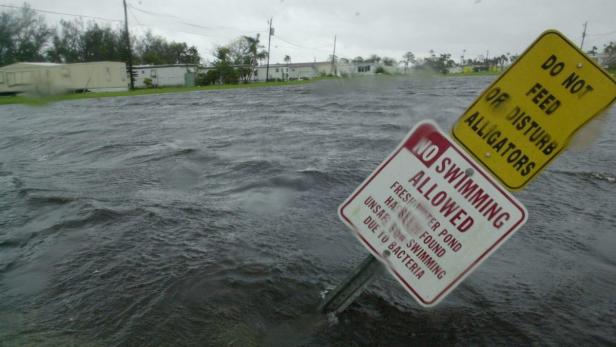 Tropensturm Debby bringt Dauerregen