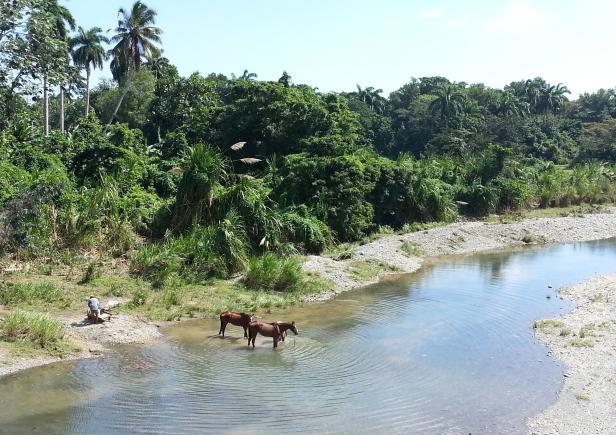 Baracoa: Ökoparadies in der Karibik